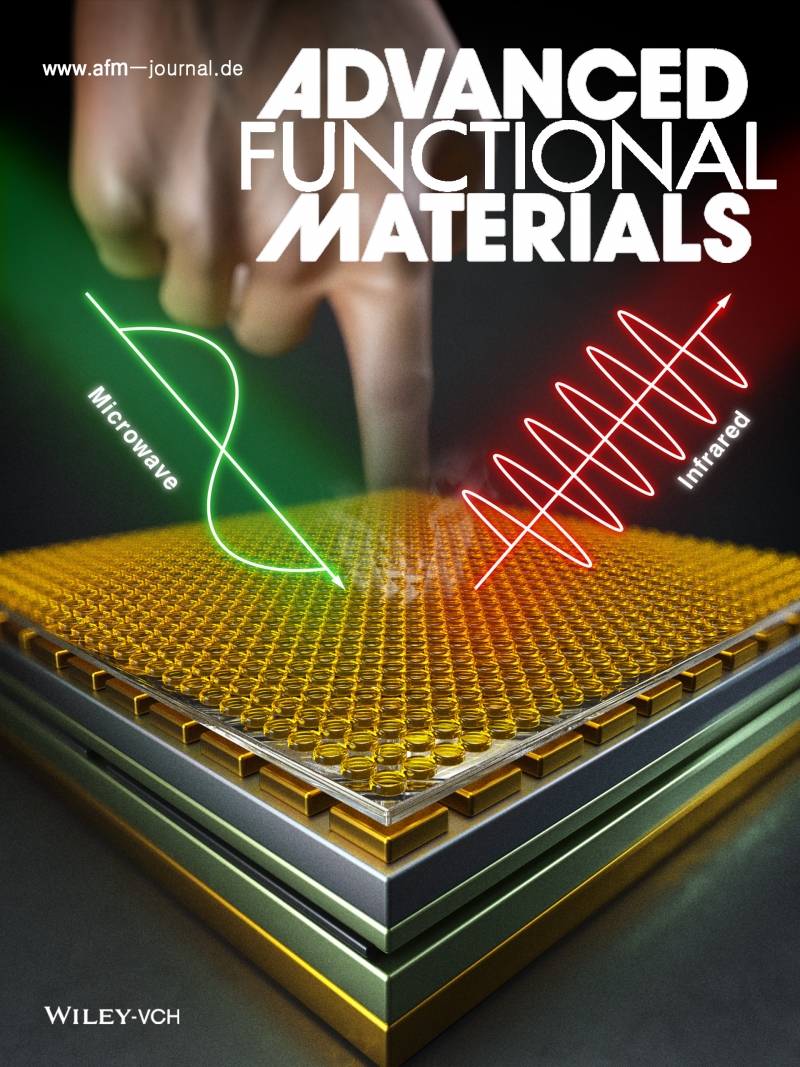 Advanced Functional Materials Cover 마루미디어